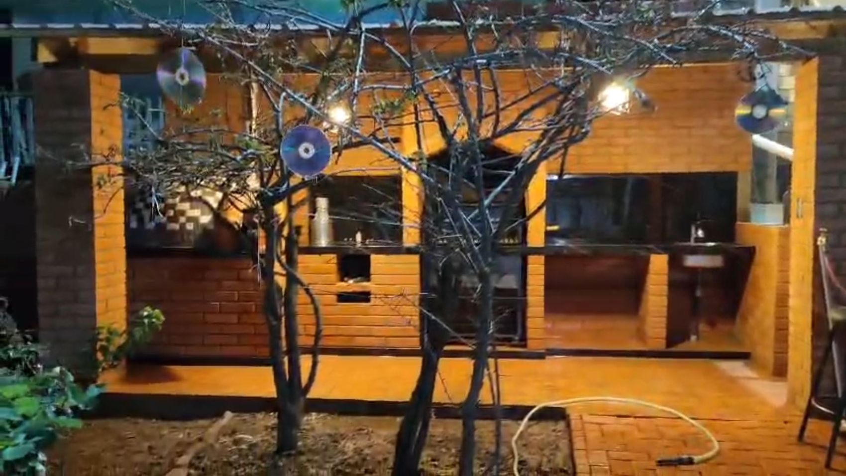 Patio de noche con árboles y luces